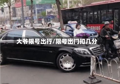 大爷限号出行/限号出门扣几分