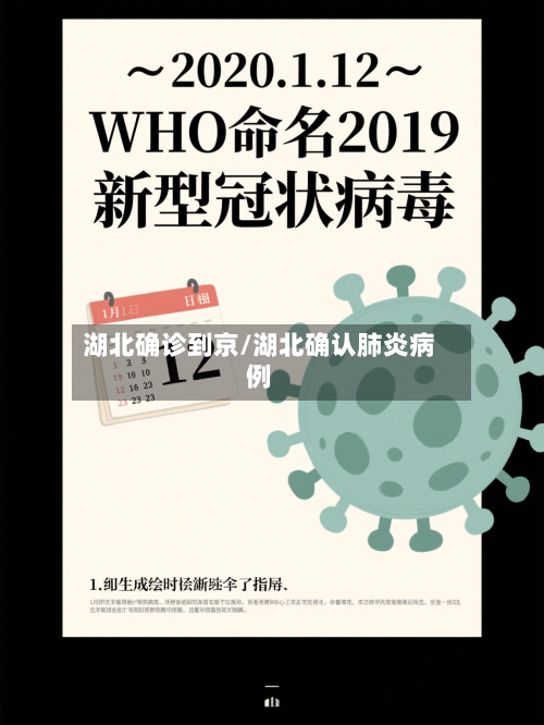 湖北确诊到京/湖北确认肺炎病例-第2张图片