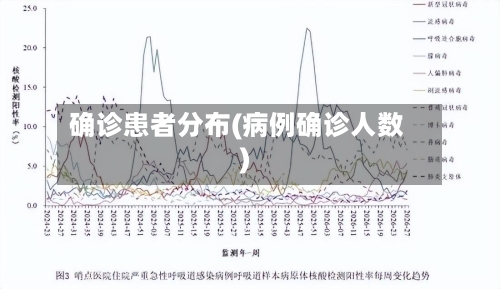 确诊患者分布(病例确诊人数)