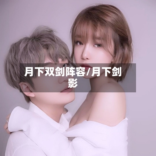 月下双剑阵容/月下剑影-第2张图片