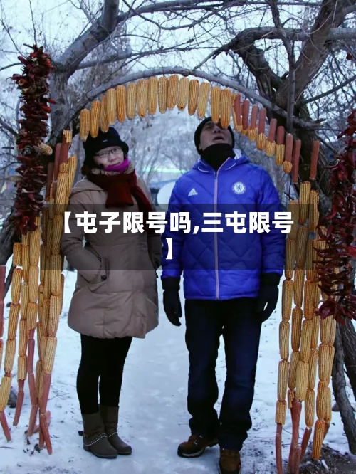 【屯子限号吗,三屯限号】-第2张图片
