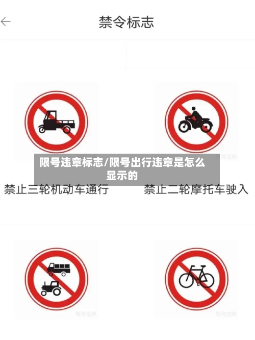 限号违章标志/限号出行违章是怎么显示的