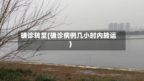 确诊转至(确诊病例几小时内转运)-第2张图片