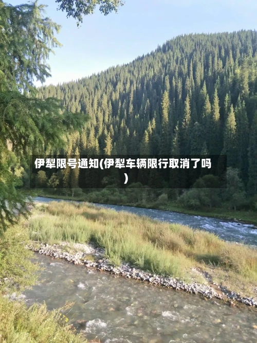 伊犁限号通知(伊犁车辆限行取消了吗)