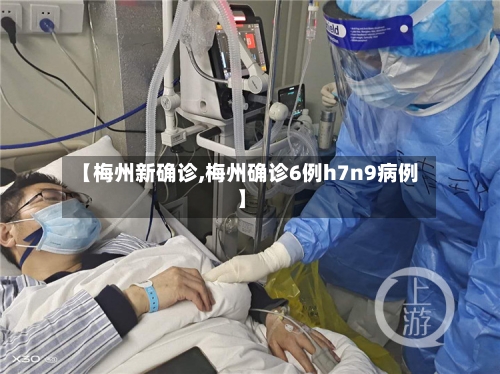 【梅州新确诊,梅州确诊6例h7n9病例】