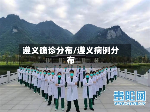 遵义确诊分布/遵义病例分布