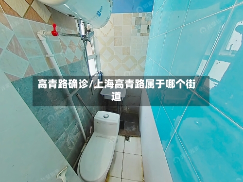 高青路确诊/上海高青路属于哪个街道