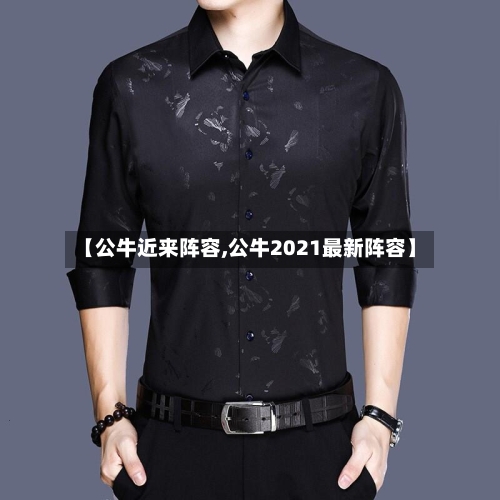 【公牛近来阵容,公牛2021最新阵容】-第3张图片