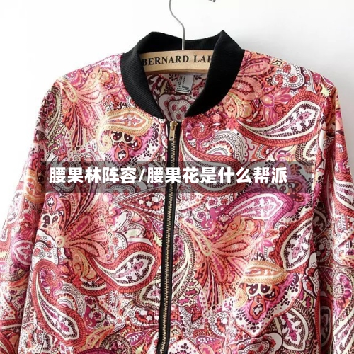 腰果林阵容/腰果花是什么帮派-第2张图片