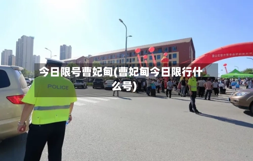 今日限号曹妃甸(曹妃甸今日限行什么号)