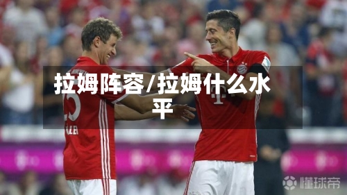 拉姆阵容/拉姆什么水平