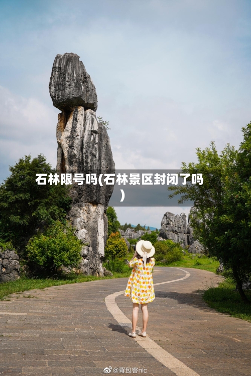 石林限号吗(石林景区封闭了吗)-第2张图片