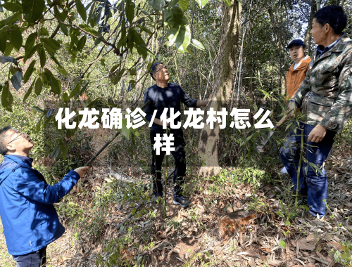 化龙确诊/化龙村怎么样-第3张图片