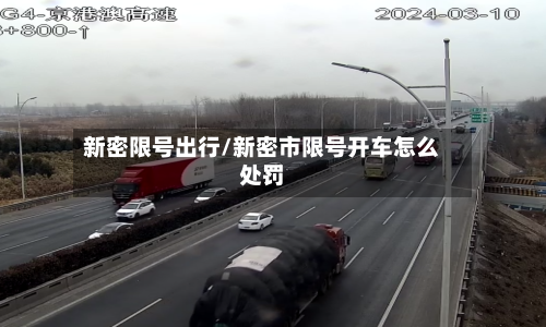 新密限号出行/新密市限号开车怎么处罚-第2张图片
