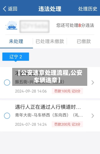 【公安违章处理流程,公安车辆违章】