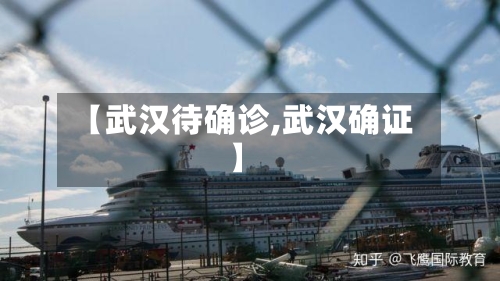 【武汉待确诊,武汉确证】