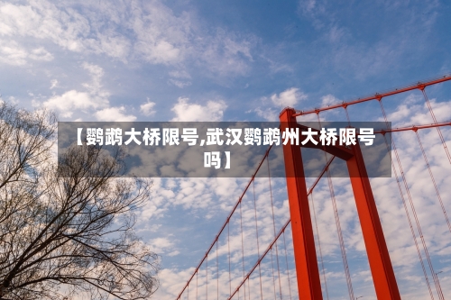 【鹦鹉大桥限号,武汉鹦鹉州大桥限号吗】-第3张图片