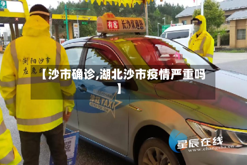 【沙市确诊,湖北沙市疫情严重吗】-第3张图片