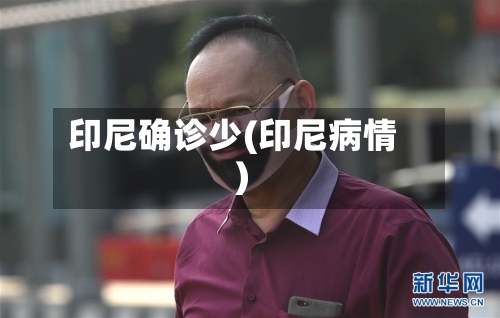 印尼确诊少(印尼病情)-第3张图片