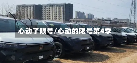 心动了限号/心动的限号第4季