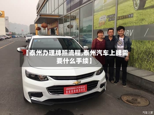 【泰州办理牌照流程,泰州汽车上牌需要什么手续】-第3张图片