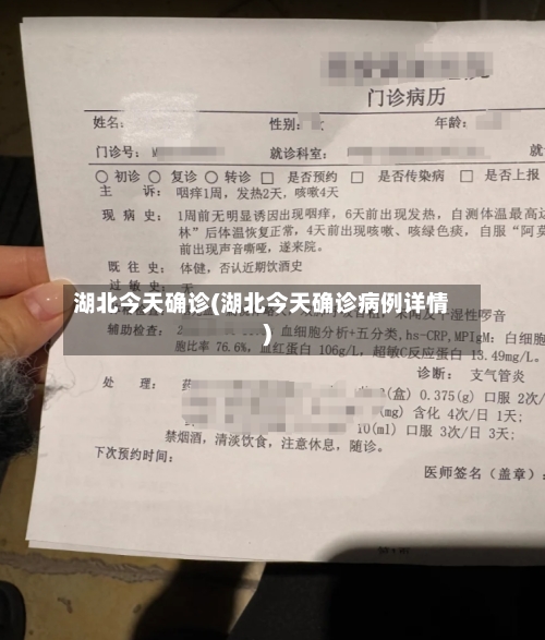 湖北今天确诊(湖北今天确诊病例详情)-第3张图片