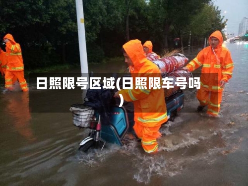 日照限号区域(日照限车号吗)