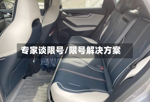专家谈限号/限号解决方案