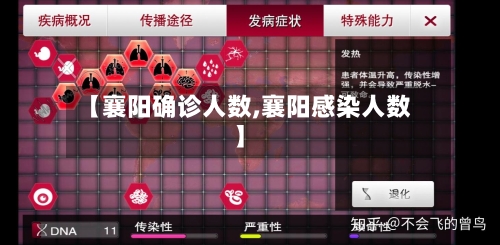 【襄阳确诊人数,襄阳感染人数】