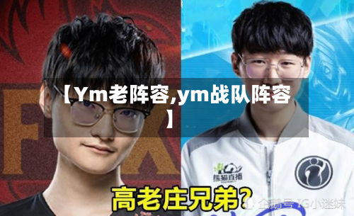 【Ym老阵容,ym战队阵容】-第3张图片