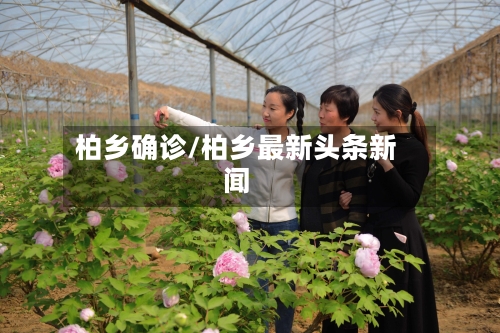 柏乡确诊/柏乡最新头条新闻
