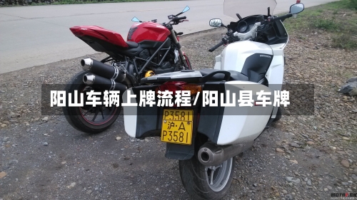 阳山车辆上牌流程/阳山县车牌-第2张图片