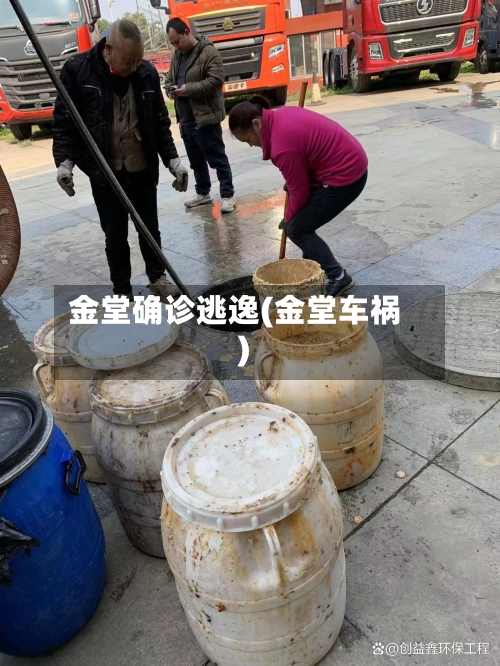 金堂确诊逃逸(金堂车祸)-第2张图片