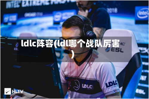 ldlc阵容(ldl哪个战队厉害)