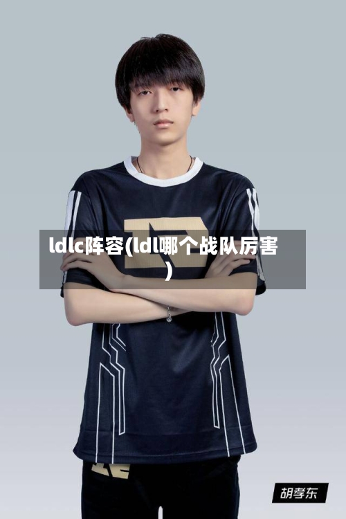 ldlc阵容(ldl哪个战队厉害)-第2张图片