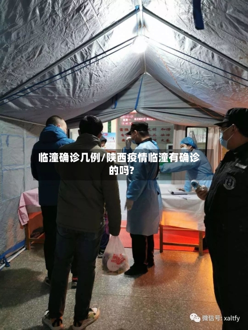 临潼确诊几例/陕西疫情临潼有确诊的吗?-第3张图片