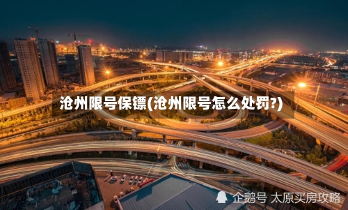 沧州限号保镖(沧州限号怎么处罚?)-第2张图片