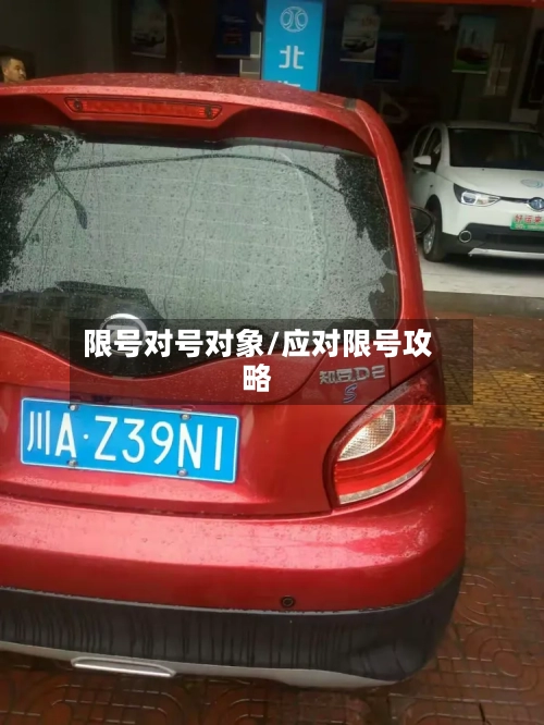限号对号对象/应对限号攻略