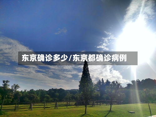 东京确诊多少/东京都确诊病例