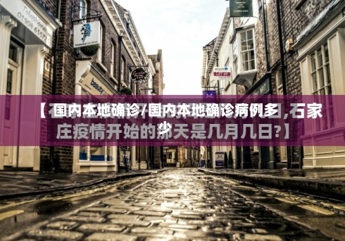 国内本地确诊/国内本地确诊病例多少