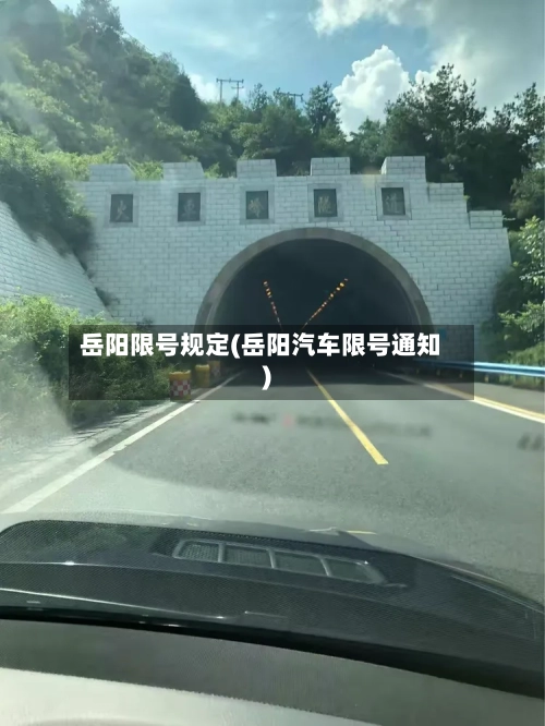 岳阳限号规定(岳阳汽车限号通知)-第3张图片