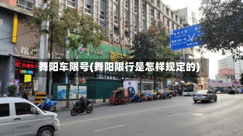 舞阳车限号(舞阳限行是怎样规定的)-第2张图片