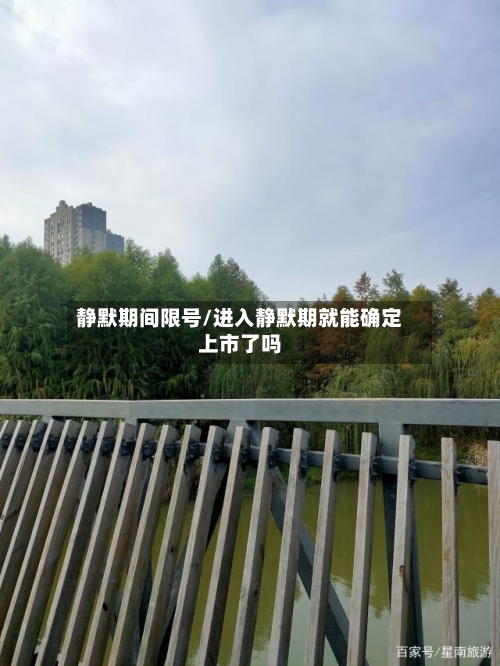静默期间限号/进入静默期就能确定上市了吗-第2张图片