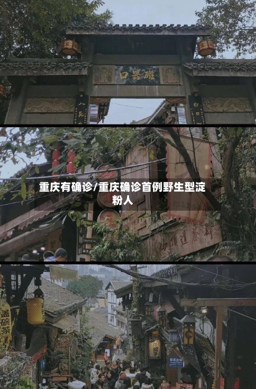 重庆有确诊/重庆确诊首例野生型淀粉人-第2张图片
