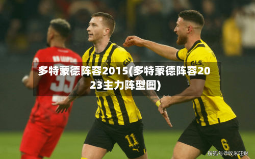 多特蒙德阵容2015(多特蒙德阵容2023主力阵型图)