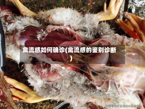 禽流感如何确诊(禽流感的鉴别诊断)