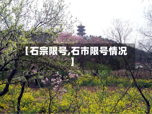 【石宗限号,石市限号情况】