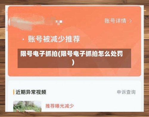 限号电子抓拍(限号电子抓拍怎么处罚)-第2张图片