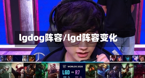 lgdog阵容/lgd阵容变化-第3张图片