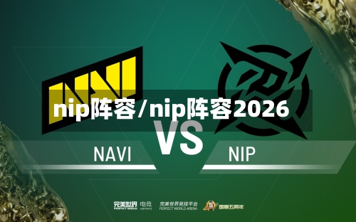 nip阵容/nip阵容2026